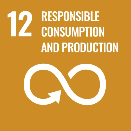 UN goal 12 - Responsible consumption and production